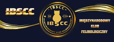 IBSCC